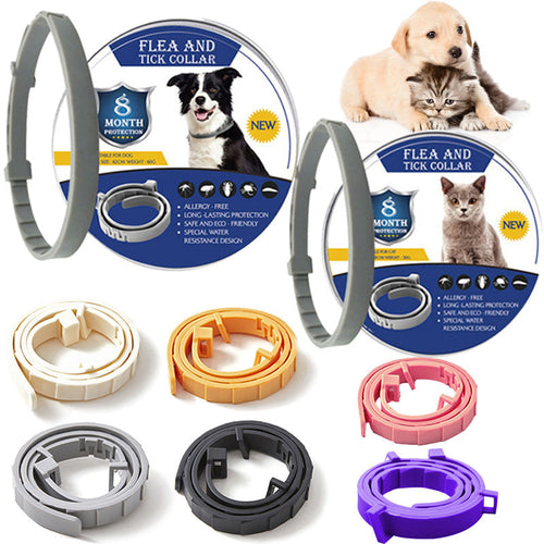 Collier de protection anti-puces, tiques, moustiques et parasites pour chien et chat (8 mois et plus de protection)