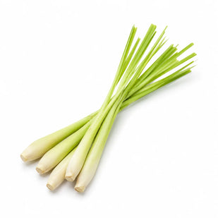 CITRONNELLE