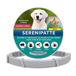 SERENIPATTE