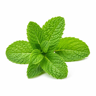 HUILE DE MENTHE